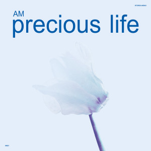 อัลบัม Precious Life ศิลปิน Am