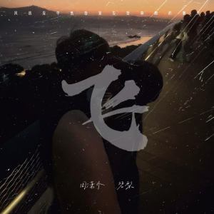Listen to 飞 (风浪没平息我宣告奔跑的意义) song with lyrics from 周潇齐