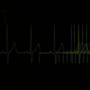 收聽Usurp Synapse的Here's $100 Seniorita歌詞歌曲