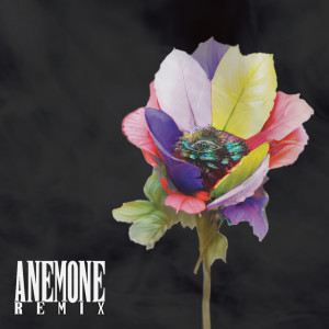 Album ANEMONE (REMIX) oleh DJ DEEQUITE