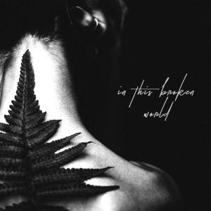Album In This Broken World (feat. Jenny Lys) from 