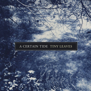 Listen to August song with lyrics from Tiny Leaves