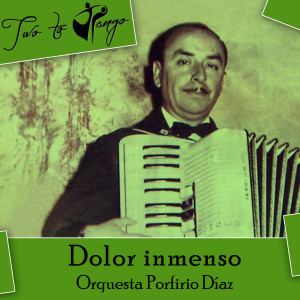 收聽Orquesta Porfirio Díaz的Mi ayer歌詞歌曲