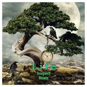 收聽Suspect Beatz的African Woman歌詞歌曲