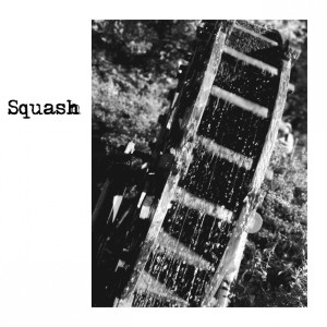 Listen to tsuioku song with lyrics from Squash