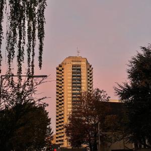 收聽Elver的sad type shit (Explicit)歌詞歌曲