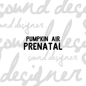 收听Pumpkin Air的Prenatal歌词歌曲