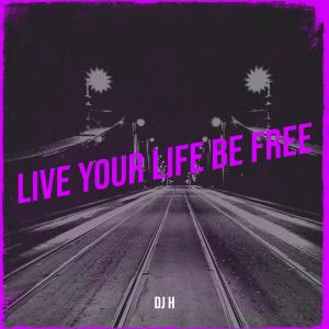 Listen to Live Your Life Be Free song with lyrics from DJ H