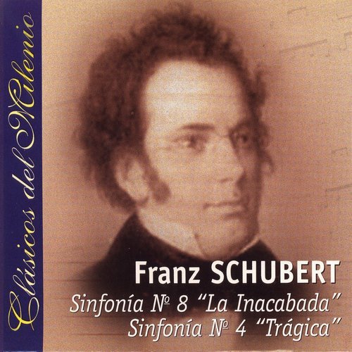 Sinfonía No.8 in B Minor, D 759: Andante con moto