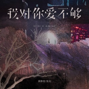 黃靜美的專輯我對你愛不夠
