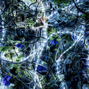 ดาวน์โหลดและฟังเพลง Through My Blood (AM) พร้อมเนื้อเพลงจาก Aimer