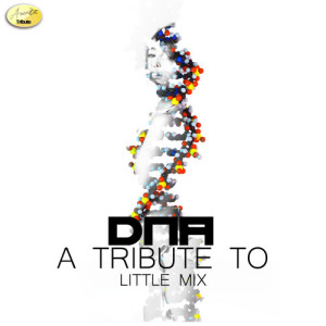 ดาวน์โหลดและฟังเพลง DNA พร้อมเนื้อเพลงจาก Ameritz - Tribute