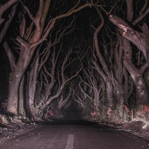 Listen to деревья сгнившие до корней. song with lyrics from HELLKYXX