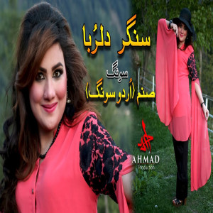 收聽Dilruba的Teri Ulfat Me Sanam (New)歌詞歌曲