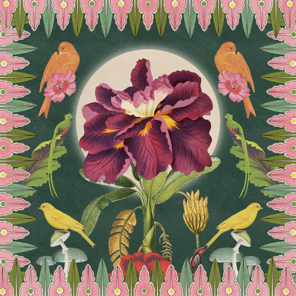 Moon Flower Bloom (Captain Planet's Dub Remix)