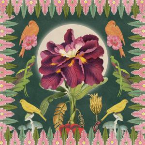 อัลบัม Moon Flower Bloom (Captain Planet's Dub Remix) ศิลปิน Captain Planet