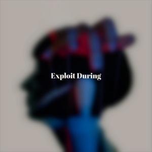 Album Exploit During from Various