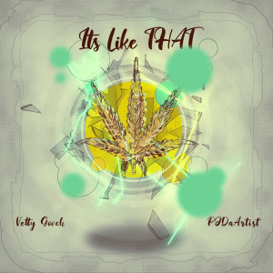 Listen to It’s Like That (Explicit) song with lyrics from Vetty Gooch