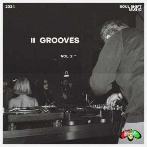 Various Artists的專輯Grooves Vol. 2