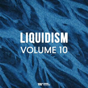 Album Liquidism, Vol. 10 from Various