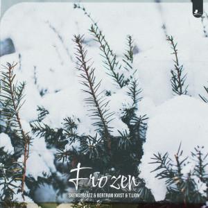 Album Frozen from Hoffy Beats, Bertram Kvist