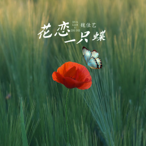 收聽魏佳藝的花戀一隻蝶歌詞歌曲