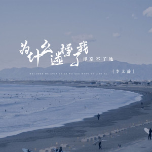 收听李文静的为什么选择了我却忘不了她 (伴奏)歌词歌曲