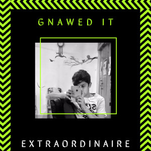 Extraordinaire的专辑Gnawed It!
