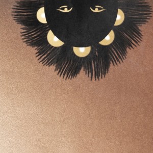 Siaira Shawn的专辑Something Surreal