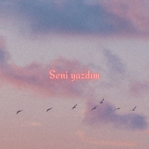 Listen to Seni Yazdım song with lyrics from Nazlıcan Kübra