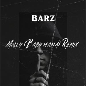 Barz的專輯MOLLY (BABY MAMA) FREESTYLE (Explicit)
