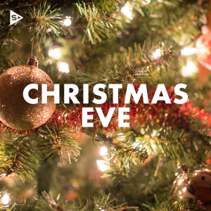 收聽Chris Tomlin的Silent Night (Live)歌詞歌曲