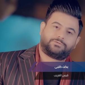 Listen to بكت كلبى song with lyrics from قيس الغريب