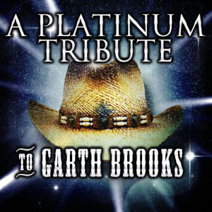 ดาวน์โหลดและฟังเพลง Wrong About You พร้อมเนื้อเพลงจาก Platinum Country All-Stars