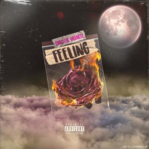 ดาวน์โหลดและฟังเพลง Luna (feat. Christie Uriarte) พร้อมเนื้อเพลงจาก Flammas