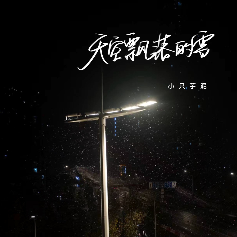 天空飘落的雪 (伴奏)