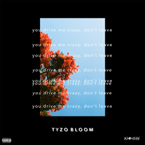 收聽Tyzo Bloom的i want you to stay.歌詞歌曲