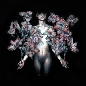 收聽A Lot Like Birds的Divisi (Instrumental)歌詞歌曲