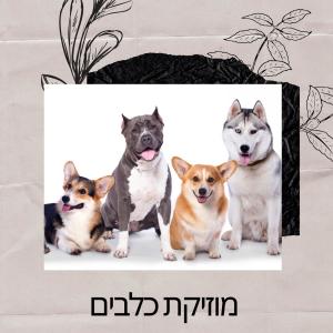 Listen to מוזיקת ​​כלבים לשינה song with lyrics from מוזיקת ​​כלבים