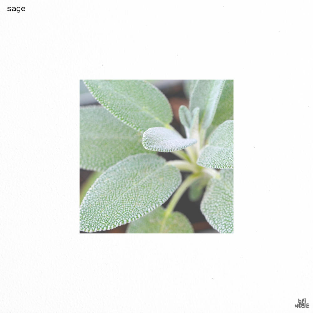 sage
