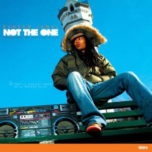 ดาวน์โหลดและฟังเพลง Not The One (Instrumental) พร้อมเนื้อเพลงจาก Raheem Jamal