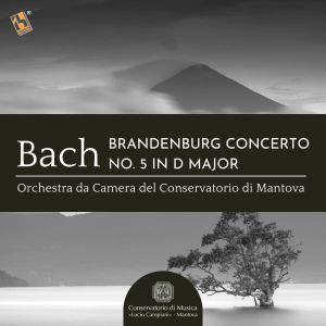 Listen to Brandenburg Concerto No. 5 song with lyrics from Paolo Ghidoni