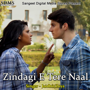 Album Zindagi E Tere Naal from Jaidhir
