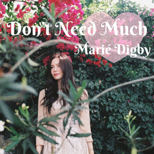 Album Don't Need Much from Marié Digby