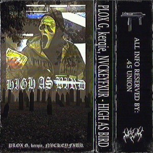 ดาวน์โหลดและฟังเพลง HIGH AS BIRD (Explicit) พร้อมเนื้อเพลงจาก NVCKEYFXUR