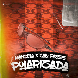 Listen to Polarizada (Explicit) song with lyrics from Mandela