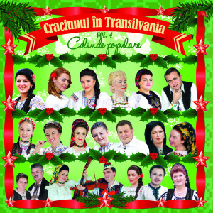 Listen to In Sara Sfanta De Craciun song with lyrics from Năstăcuța Iuga
