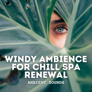 Ambient Sounds: Windy Ambience for Chill Spa Renewal