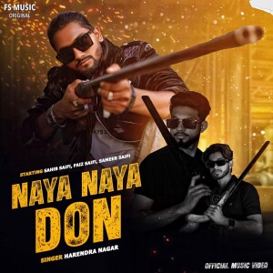 Album Naya Naya Don from Harendra Nagar