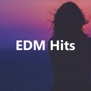 Various Artists的專輯EDM HITS (Explicit)